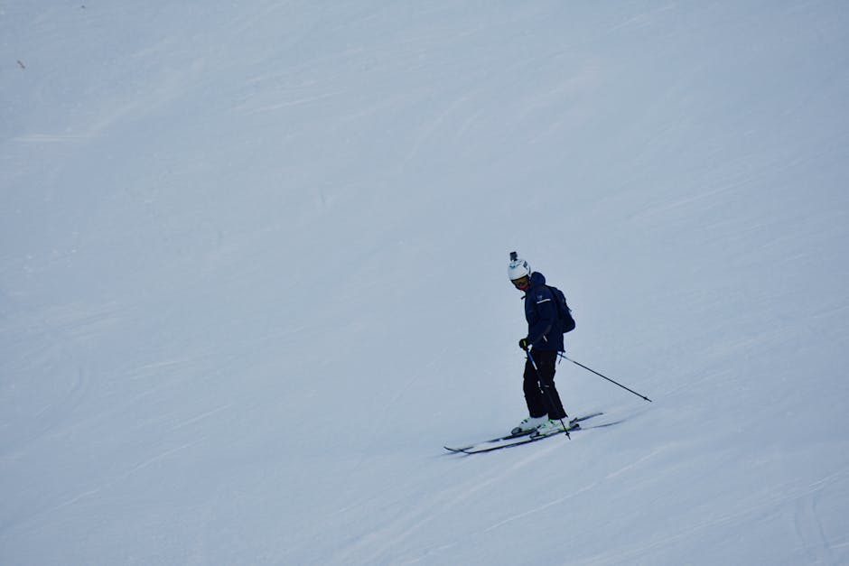 Our Alpine Experts